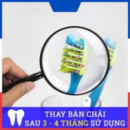 bao lâu thì nên thay đầu bàn chải điện 1 lần?